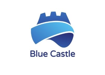 Blue Castle Accounts and Finance